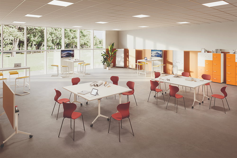 QEducational box Scuola prim e secondaria