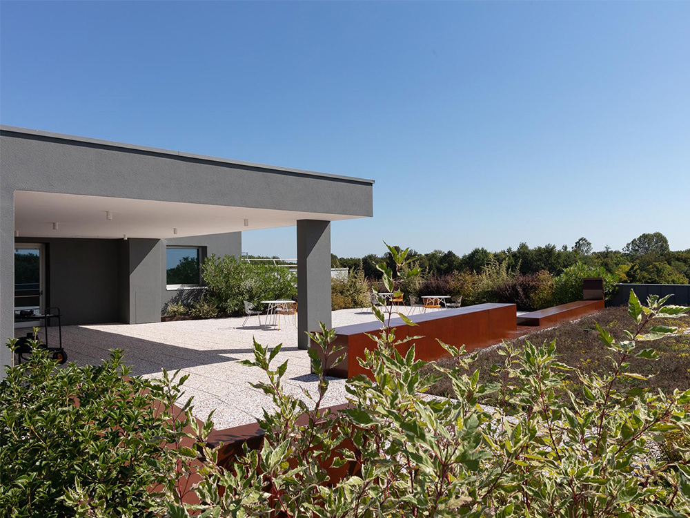 QEducational Carosello5